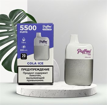 Puffmi MeshBox 5500 - 5500 затяжек Papa-Electro Магазин электронных товаров